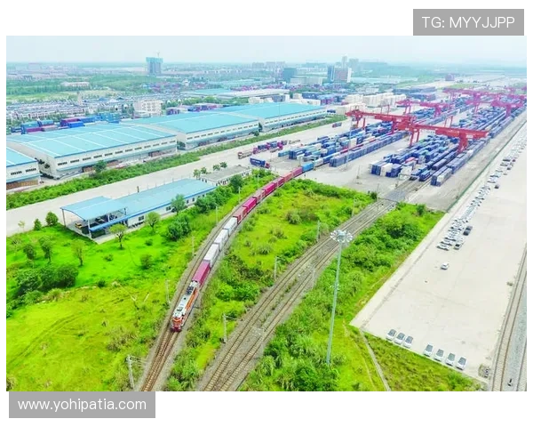 中欧体育官网平台建设：打造多元化、专业化的中欧体育交流平台